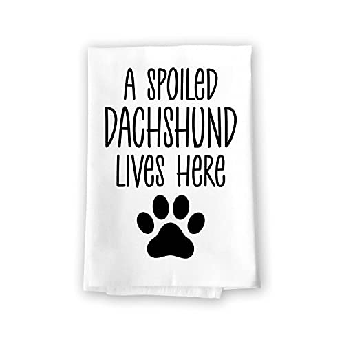 Dachshund