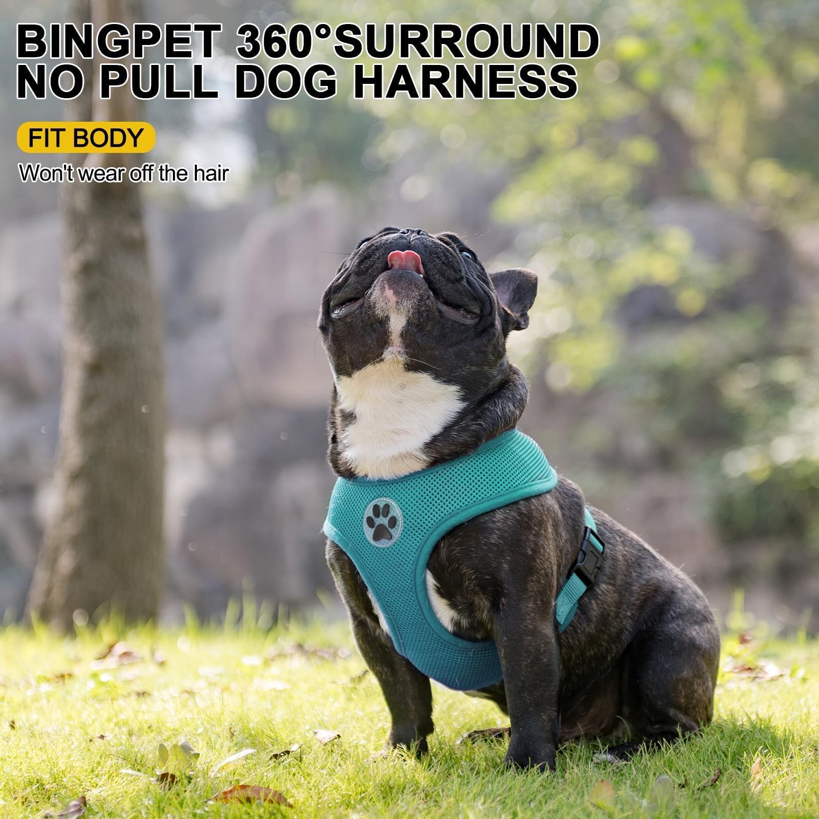 BINGPET Small Dog Harness - Breathable Mesh No Pull Adjustable Vest for Puppies & Medium Dogs - Perfect for Walking, Training & Outdoor Adventures