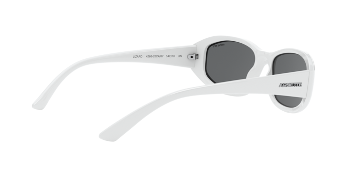 Arnette Lizard AN4266 262487 Sunglasses - Polarized Sports Shades for Men & Women - UV Protection for Running, Cycling & Outdoor Activities