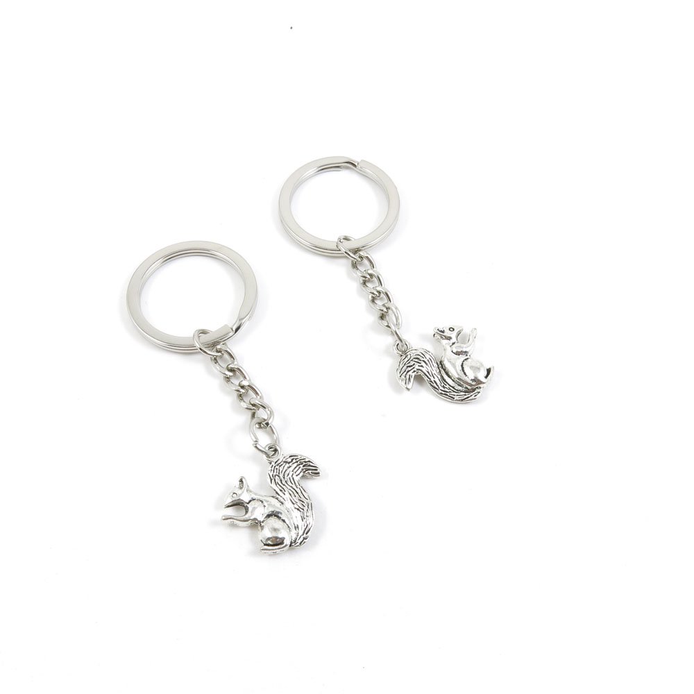 210 Pcs Cute Squirrel Keychain Set - Durable Metal Key Rings with Charms for Car Keys, House Keys & Backpacks - Perfect Gift for Animal Lovers & Key Organizers (O5ET8)