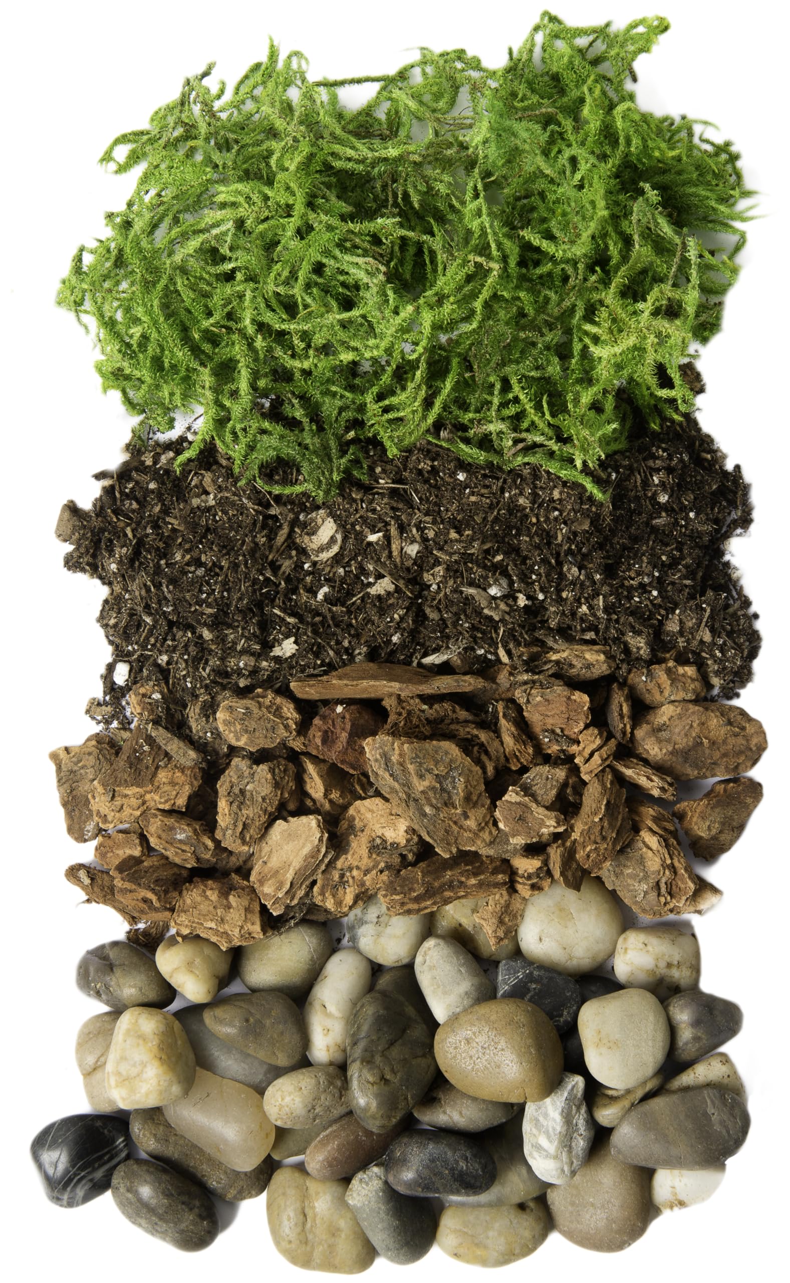 DIY Mason Jar Terrarium Kit - Create Your Own Mini Garden in a Glass Jar | Perfect for Home Decor, Office Desk & Gift Ideas