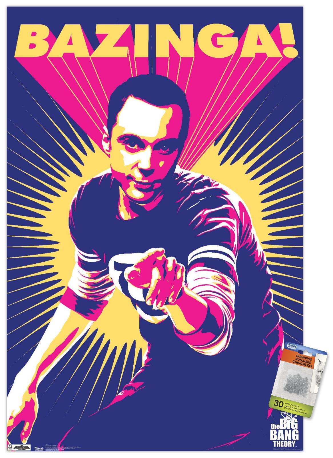 The Big Bang Theory Sheldon Cooper Wall Poster with Push Pins - Perfect for TV Show Fans, Dorm Room Decor & Office Wall Art