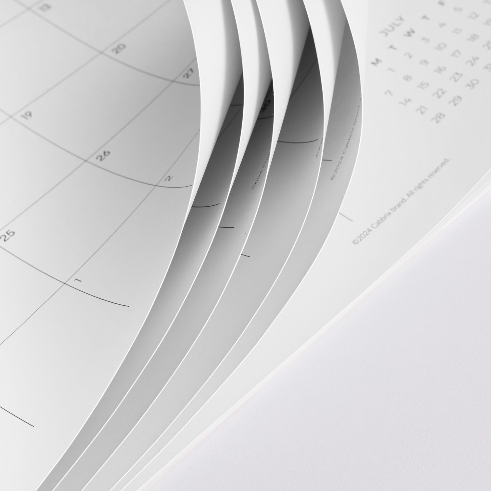 Cabbrix 2025-2026 Academic Desk Calendar - January 2025 to June 2026 Planner for School, Home & Office - Greenery Design - Perfect for Scheduling, Goal Tracking & Daily Organization