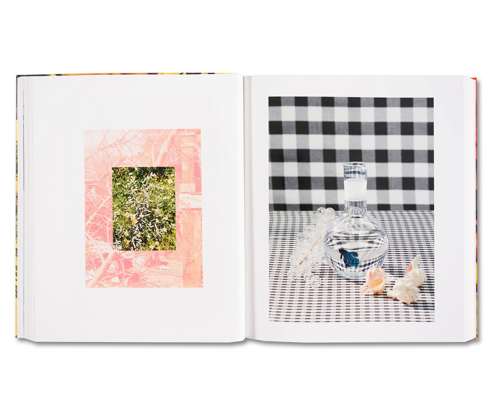 American Polychronic by Roe Ethridge - Signed Limited Edition Art Book | Perfect for Photography Collectors & Contemporary Art Enthusiasts