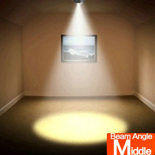 LED Counter Light & Focus Spotlight - Energy Efficient Under Cabinet Lighting for Kitchen, Bar, and Retail Display