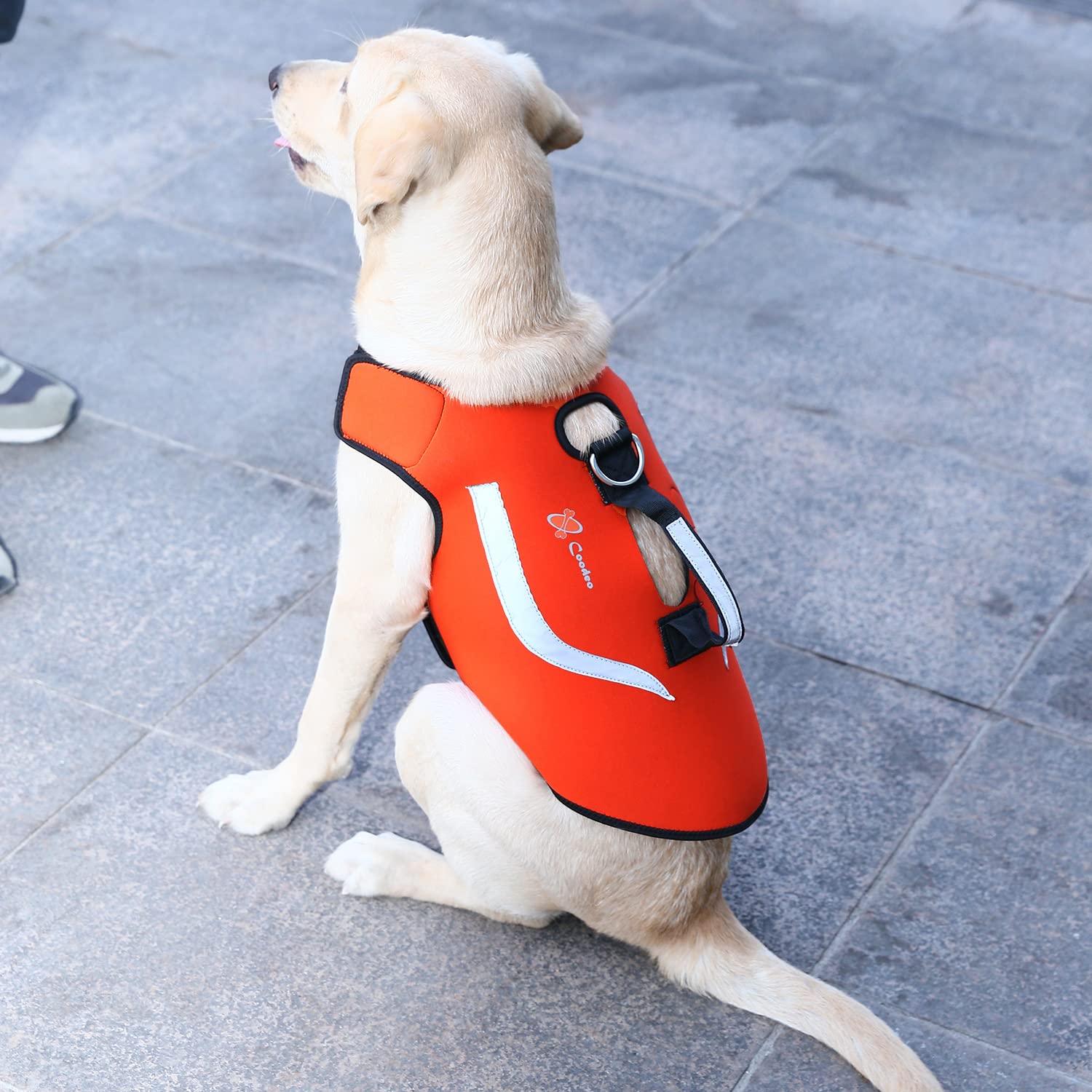 **Coodeo Reversible Reflective Hunting Dog Vest - Orange & Camo Waterproof Tactical Harness for Protection & Security, 4.5mm Neoprene Safety Jacket (X-Large) - Ideal for Hunting, Training & Outdoor Adventures**