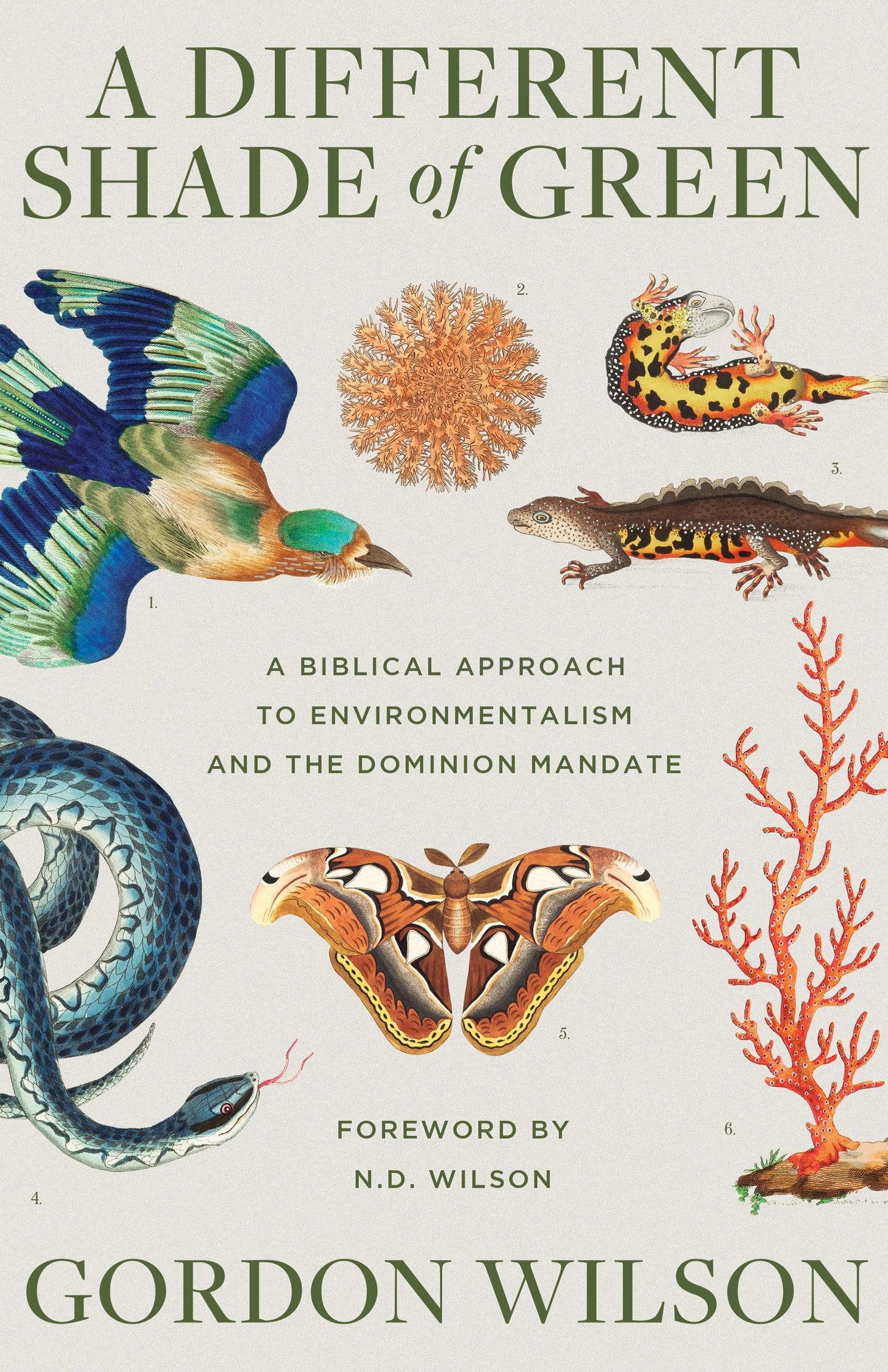 Biblical Environmentalism: A Christian Perspective on the Dominion Mandate - Perfect for Bible Study Groups & Eco-Conscious Faith Communities