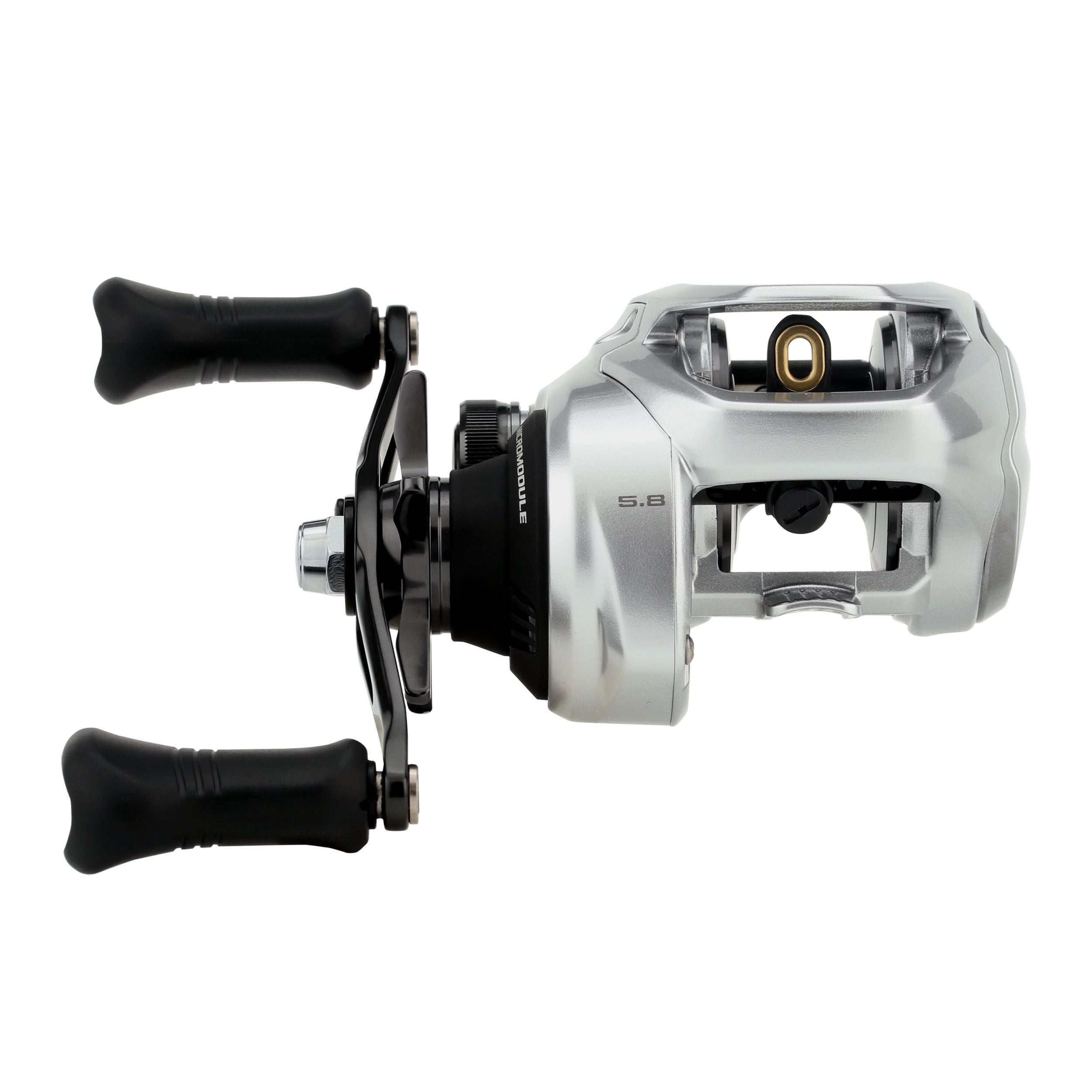 Shimano Tranx 300 B Baitcasting Reel 2025 Model - High Performance Saltwater Fishing Reel for Bass, Pike & Musky | Perfect for Offshore & Inshore Fishing Adventures