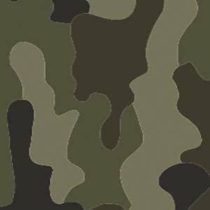 Camo