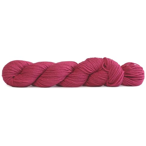 #015 - Ripe Raspberry