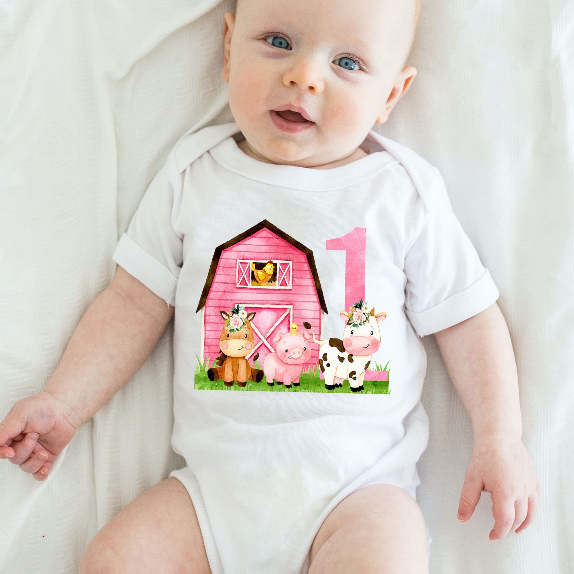 Farm Animal Birthday Outfit - Barnyard Themed 1st Birthday Shirt for Toddlers (2T) | Perfect for Farm-Themed Parties & Photo Shoots
