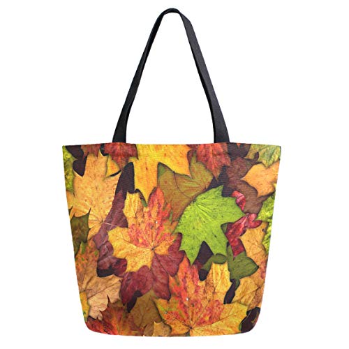 Maple Leaves