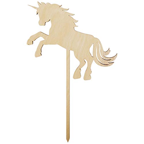 Birthday, Unicorn Horse