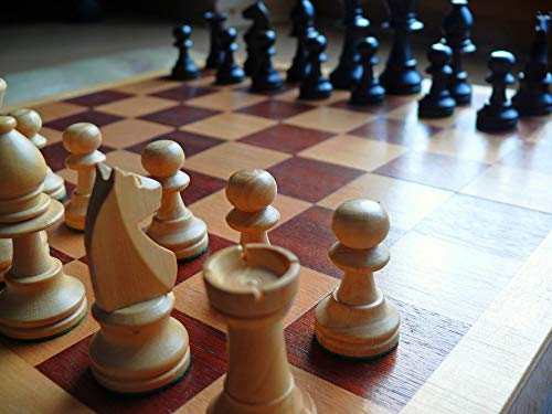 Checkmated Chess Board & Pieces - 20x30 Inch Laminated Poster with Vibrant Colors - Perfect for Game Rooms, Classrooms & Chess Enthusiasts
