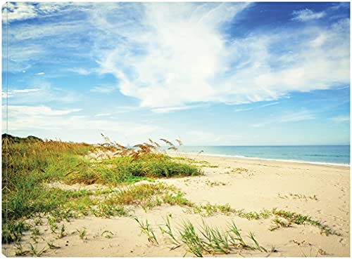 Shores View