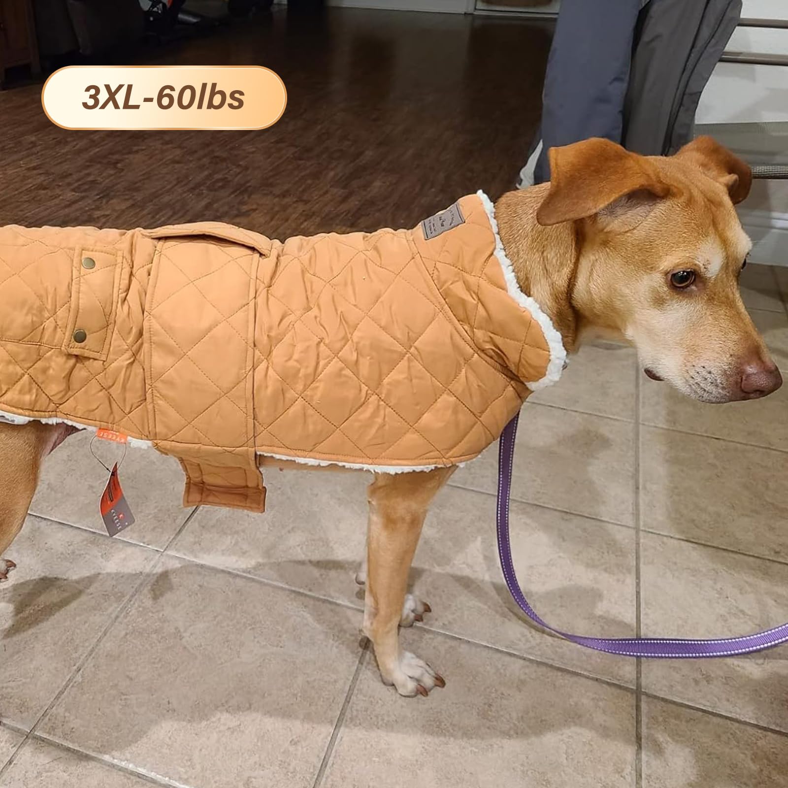 KYEESE Winter Windproof Dog Jacket with Leash Hole - Padded Sherpa Vest for Large Dogs, Cold Weather Coat in Yellow - Perfect for Outdoor Walks, Hiking & Winter Adventures