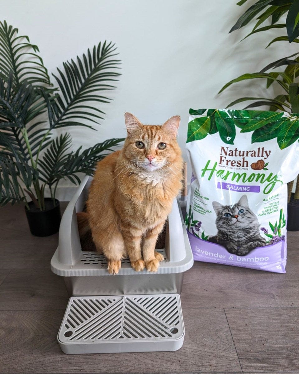 Naturally Fresh Harmony Calming Lavender & Bamboo Cat Litter - Odor Control Clumping Cat Litter for Multi-Cat Homes, Ideal for Stress Relief and Indoor Cat Comfort