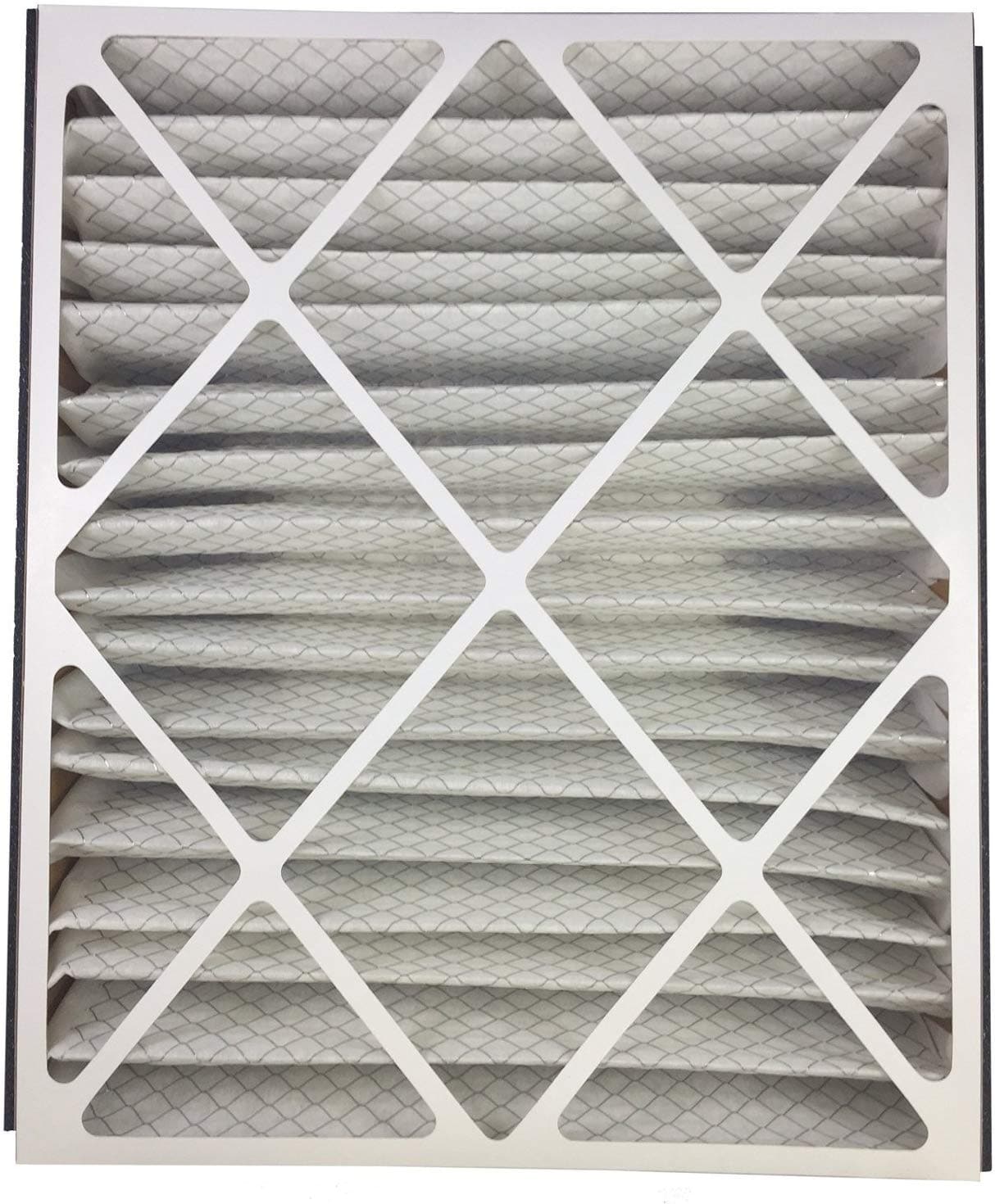 Atomic 266649 102 Trion Air Bear 20x25x5 MERV 13 Replacement Air Filters - 2 Pack | HVAC System, Home & Office Air Purification