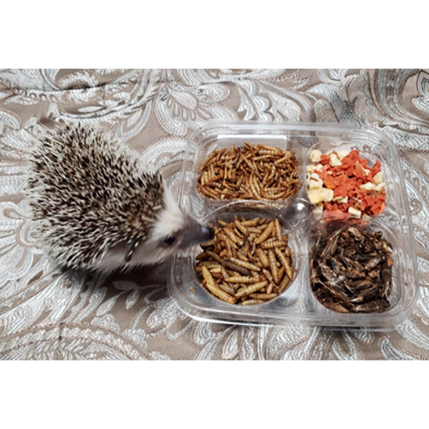 Premium Hedgehog Treat Variety Pack - 12 Delicious Flavors for Pet Hedgehogs - Healthy Snacks for Small Animals - Perfect for Training, Bonding & Special Occasions