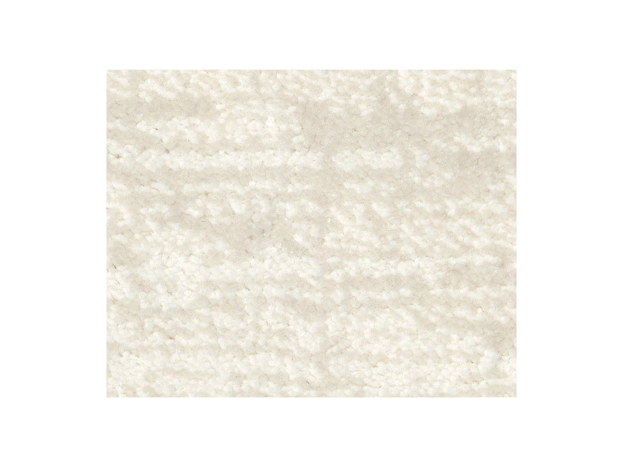 KOECKRITZ 9' x 12' Area Rug - 100% Anso Nylon with R2X Stain Resistance, Thick Dense Fibers for Living Room, Bedroom & High Traffic Areas | Non-Slip Backing, Easy to Clean Home Decor Rug