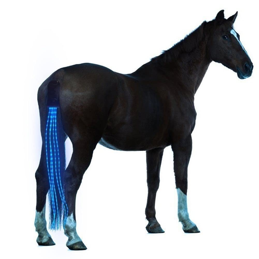 Durable 100CM USB Rechargeable LED Horse Tail Light - Blue Equestrian Harness for Night Riding, Outdoor Sports & Horse Shows | Waterproof & Long-Lasting for Trail Rides, Parades & Evening Training