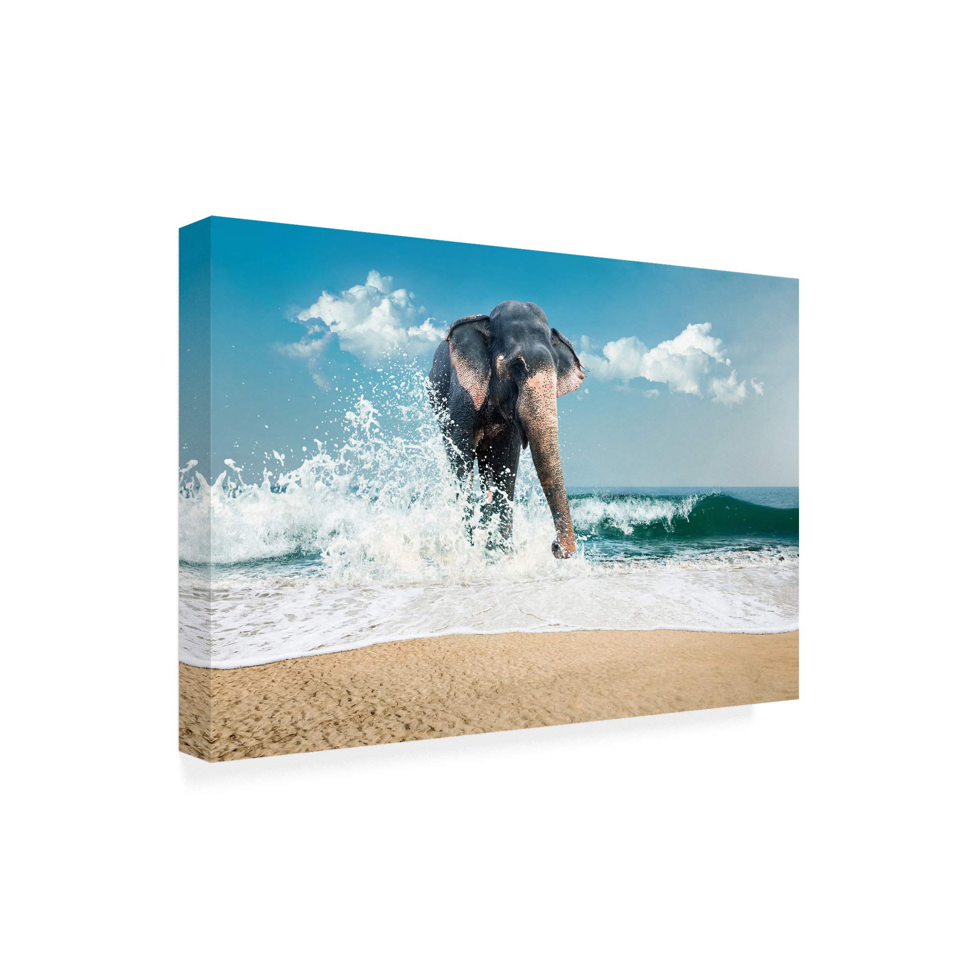 Trademark Fine Art - 30x47 Elephant On The Beach Canvas Print by PhotoINC Studio | Coastal Home Decor, Living Room Wall Art, Beach House Decor