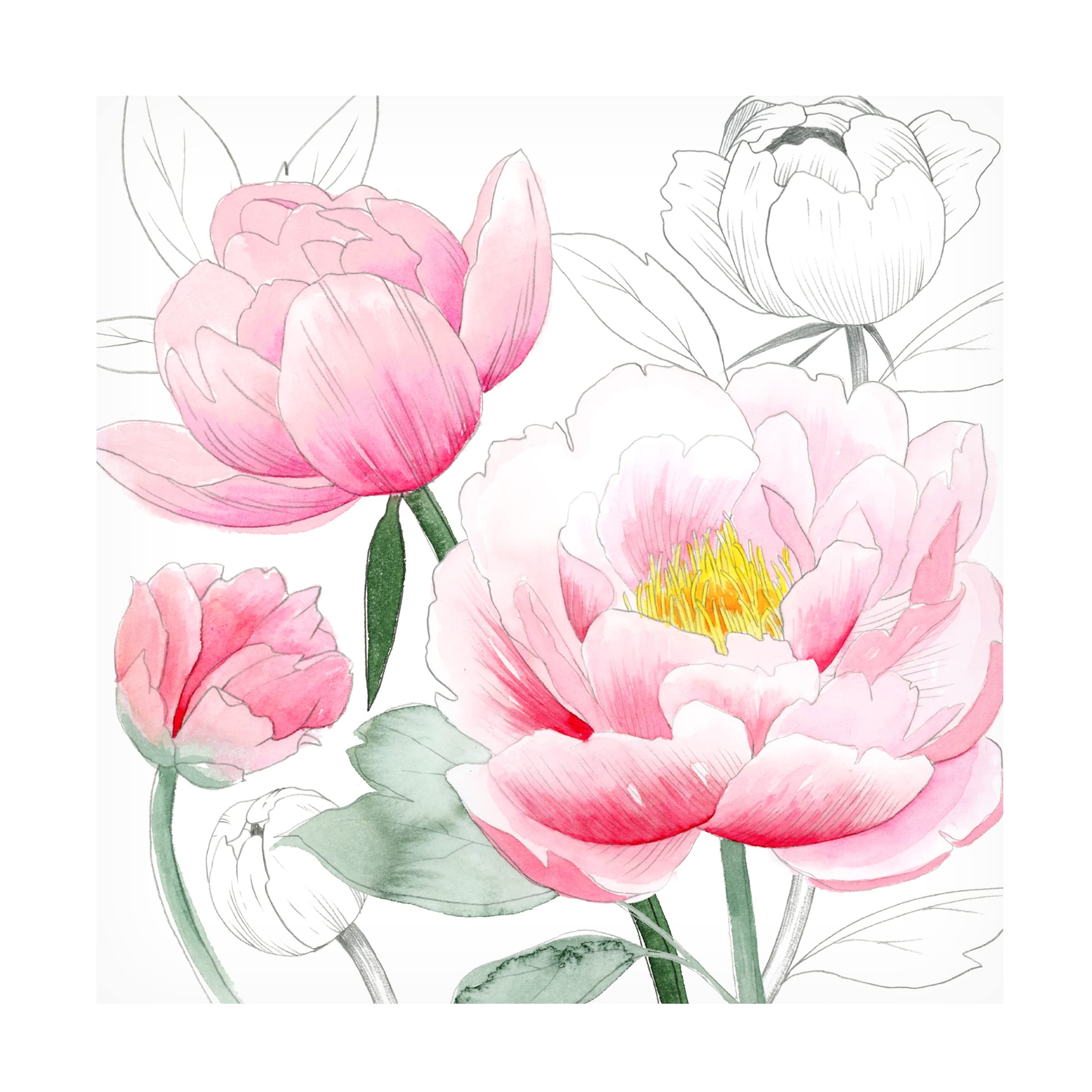 Grace Popp 'May Peonies I' Floral Canvas Wall Art Print - Handmade Home Decor for Living Room, Bedroom & Office - Perfect Gift for Housewarming & Mother's Day