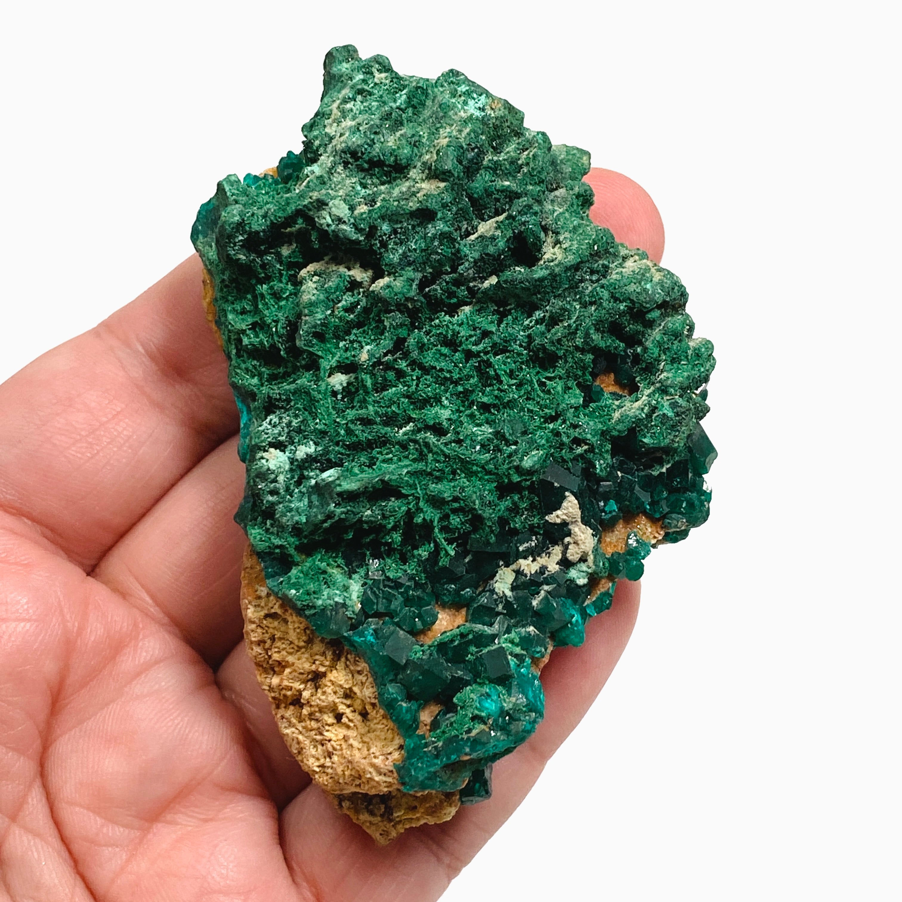Natural Dioptase and Malachite Crystal Specimen from Congo - CR3745 | Mineral Collection, Healing Crystals, Geology Display, Home Decor