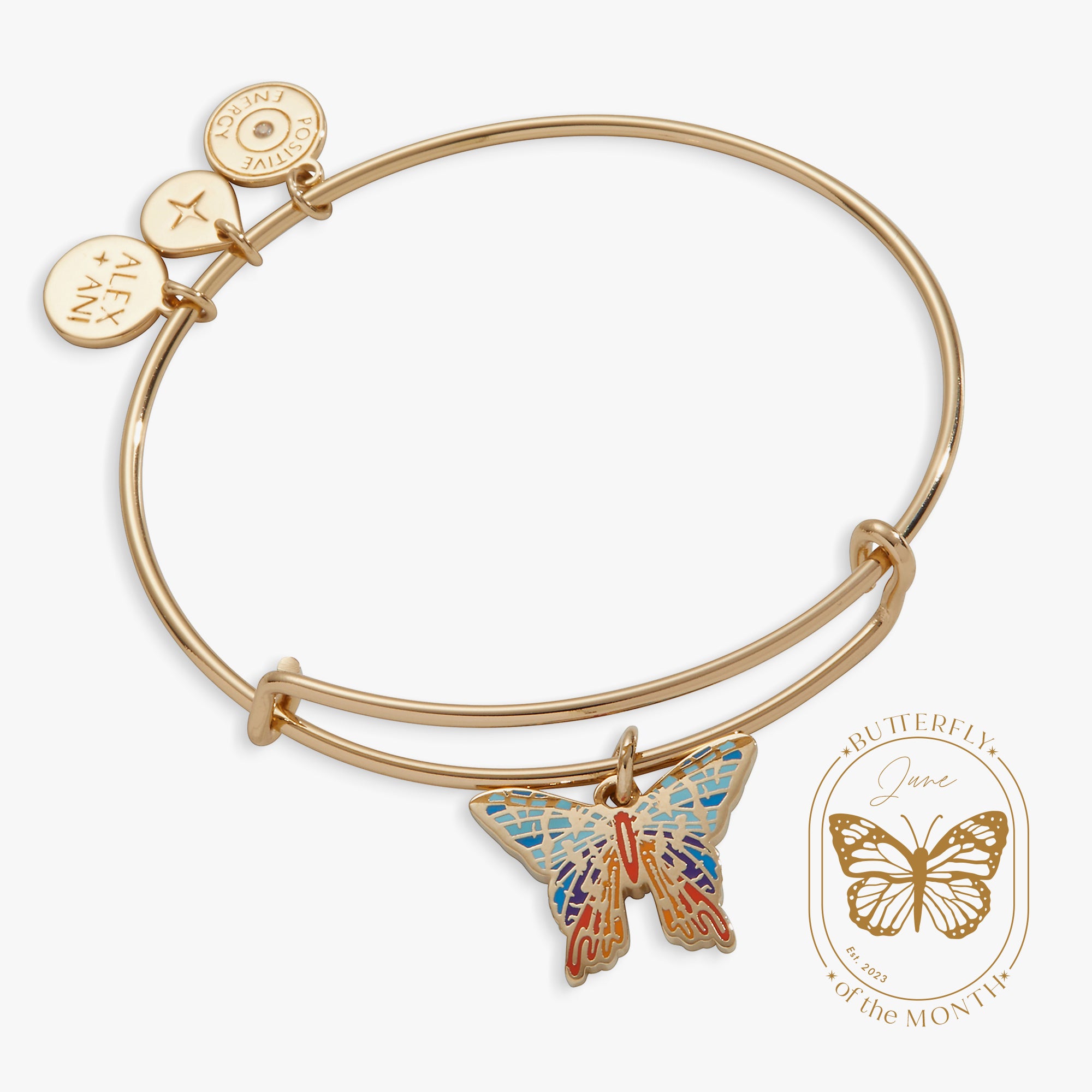 Chrysiridia Rhipheus Butterfly Charm Bangle - Elegant Jewelry for Women | Perfect for Parties, Weddings & Special Occasions