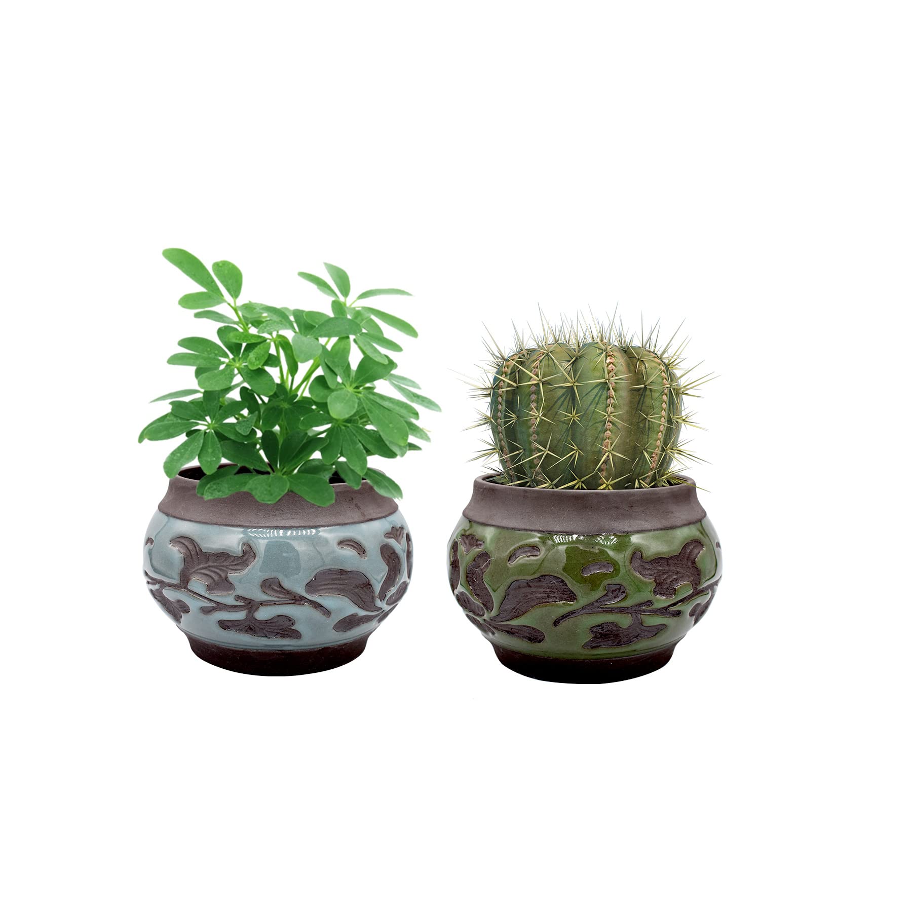 2 Pack Ceramic Succulent Pots with Drainage - Indoor Plant Pots for Home & Office Decor, Perfect for Small Plants, Cacti, and Herbs - Ideal for Windowsills, Desks, and Gift Giving (Plants Not Included)