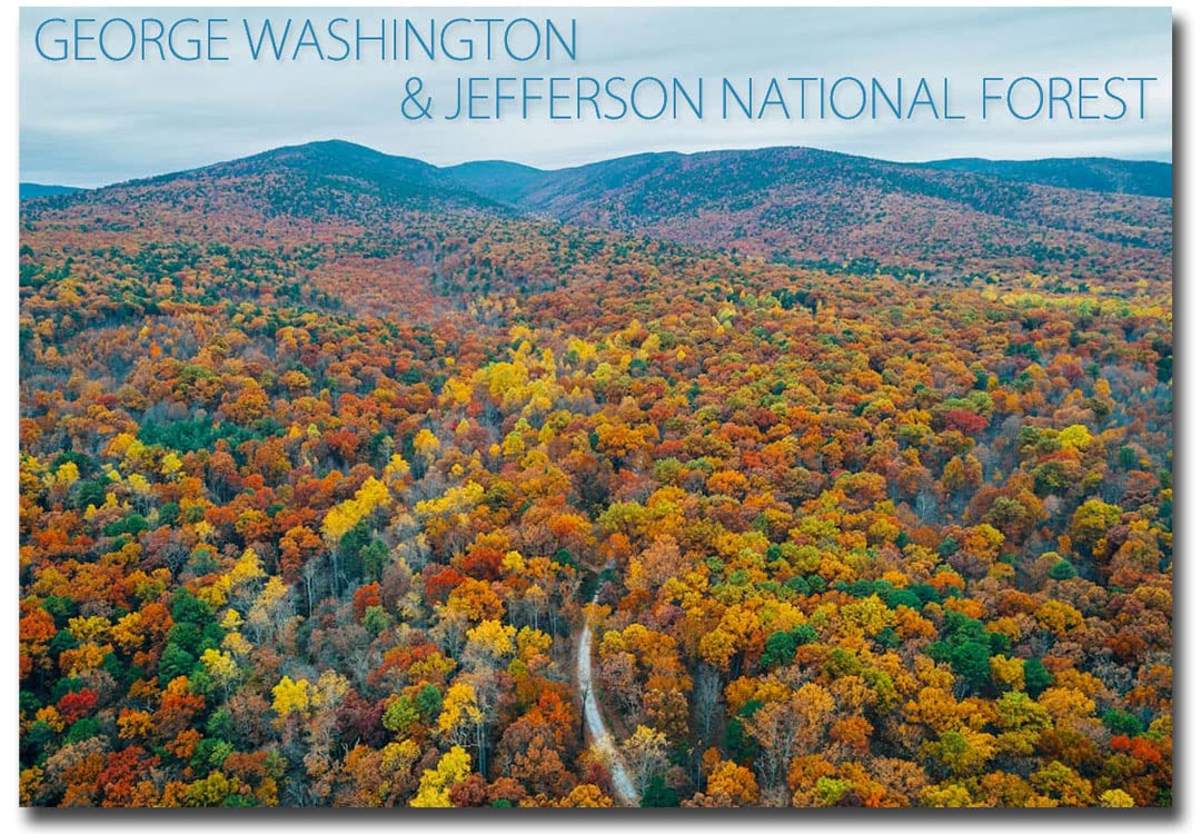 George Washington and Jefferson National Forest Souvenir Fridge Magnet - 2.5