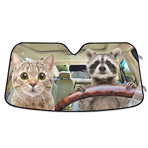 Funny Raccoon