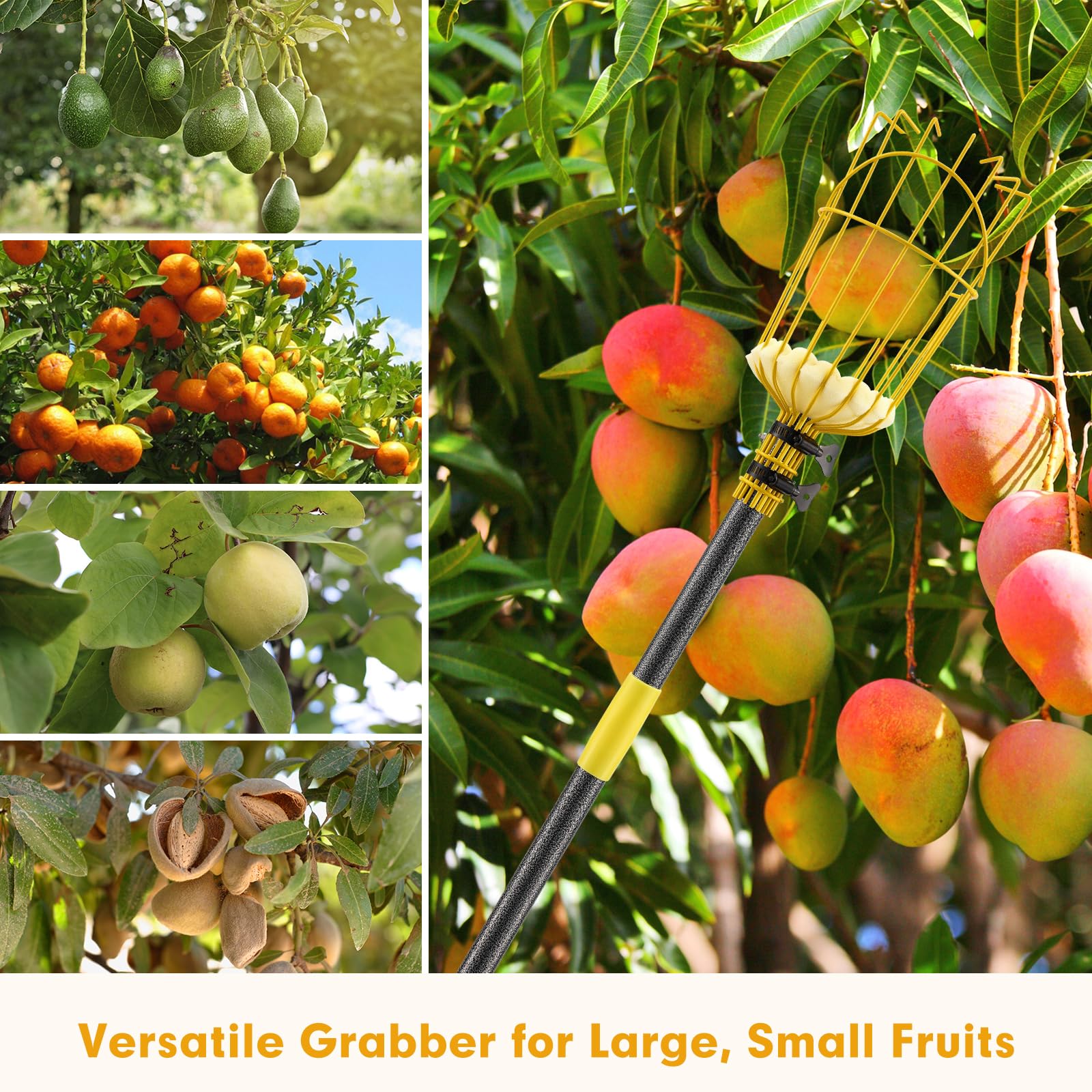 10FT Adjustable Fruit Picker Tool with Pole & Large Basket - Heavy Duty Fruit Harvesting Equipment for Apples, Oranges, Mangoes, Avocados & More - Perfect for Home Orchards, Backyard Harvesting & Commercial Fruit Picking