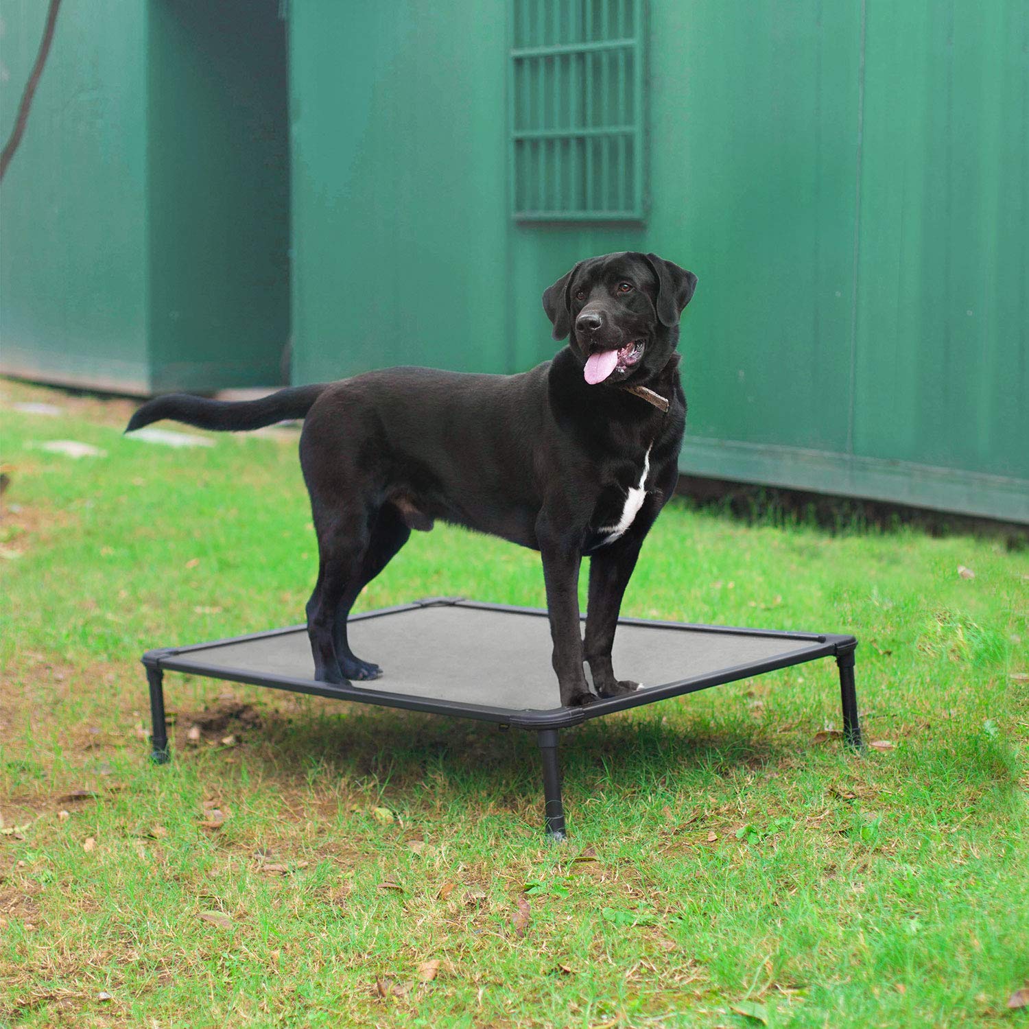 Veehoo Chew Proof Dog Bed - Cooling Raised Pet Cot with Aluminum Frame for Indoor/Outdoor Use - Large Grey