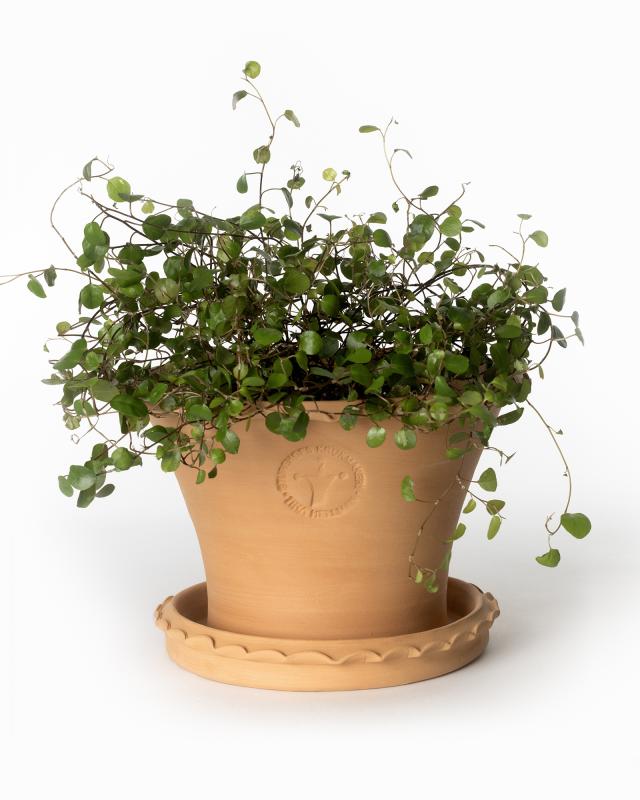 Kruka Sturehof Liljencrantz 20cm Ceramic Flower Pot - Elegant Indoor & Outdoor Plant Container for Home Decor, Garden, and Office Plants