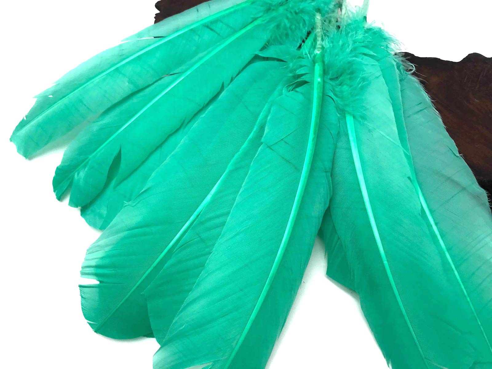 1 Lb. Bulk Aqua Green Turkey Tom Rounds Secondary Wing Quill Feathers for Halloween Crafts, DIY Costumes & Home Decor | Wholesale Craft Supplies by Moonlight Feather