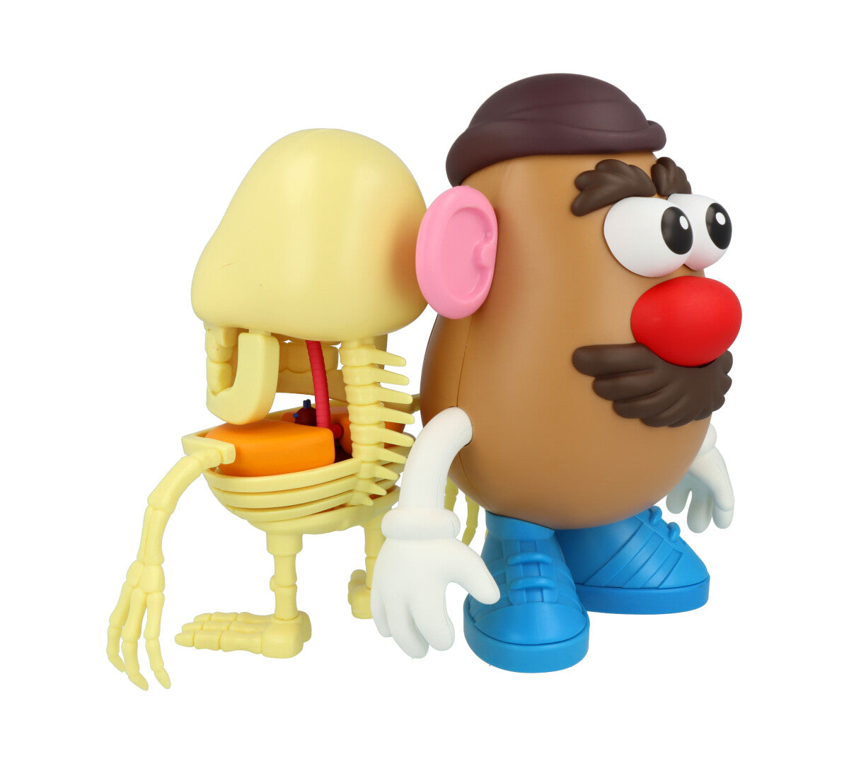 4D XXRAY Mr Potato Head Toy - Interactive Educational Building Blocks for Kids - Perfect for STEM Learning, Creative Play & Birthday Gifts (Great for Classroom Activities & Family Game Nights)
