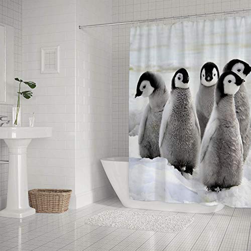 Penguins03