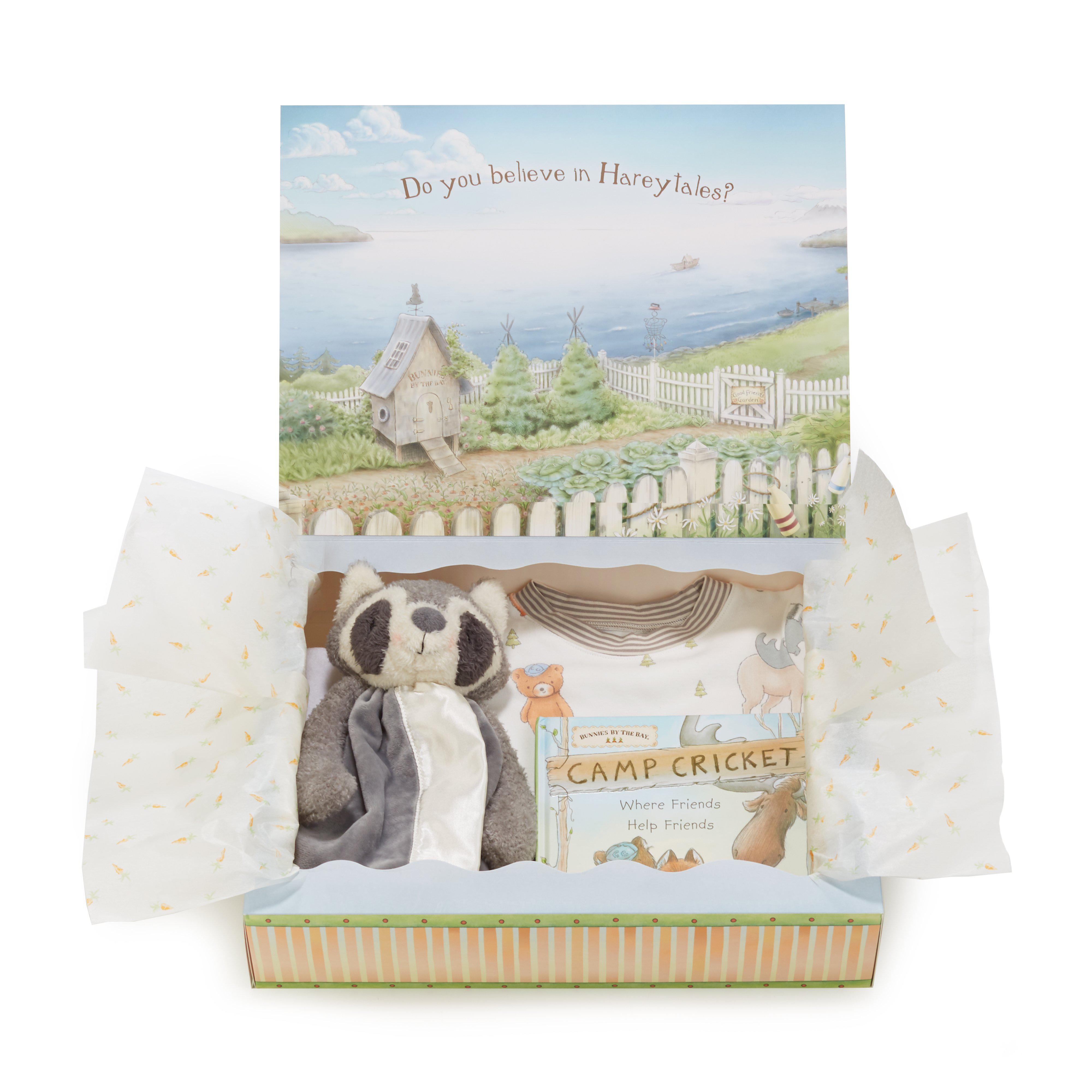 Roxy Raccoon Sleepytime Toddler Gift Set - Soft Plush Toy & Blanket for Baby Girls & Boys | Perfect for Bedtime, Nursery Decor & First Birthday Gifts