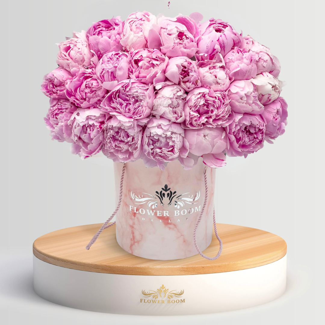 Fresh Light Pink Peonies in Gift Box - Perfect for Weddings, Anniversaries & Home Decor | Farm-Direct Cut Flowers for Bouquets & Centerpieces