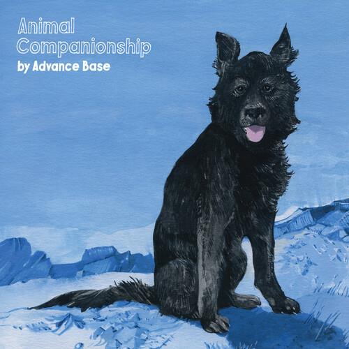 Animal Companionship Vinyl LP - Classic Music Record for Relaxation & Home Decor - Perfect for Vinyl Collectors & Music Lovers