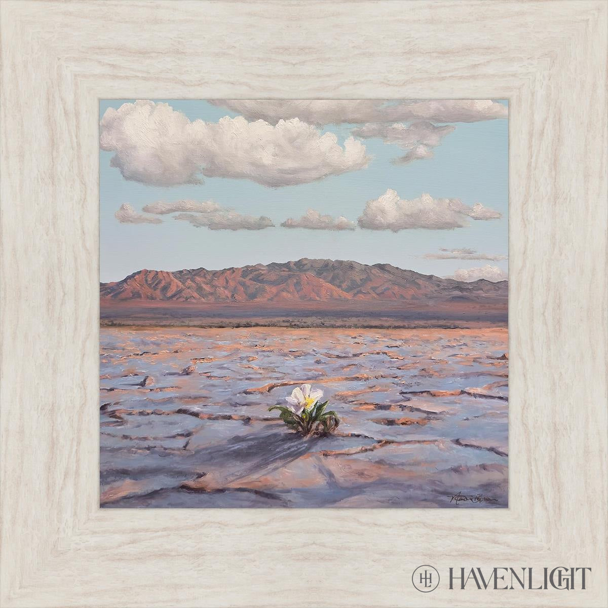 Bloom Where You Are Planted - Inspirational Wall Art Decor for Home, Office & Gift - Perfect for Living Room, Bedroom & Workspace Motivation