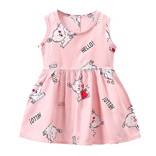 Baby Girls Floral Cartoon Plaid Dress - Sleeveless Toddler Summer Outfit for Casual Wear & Beach Play | Cute Kids Dresses for Outdoor Activities & Vacation