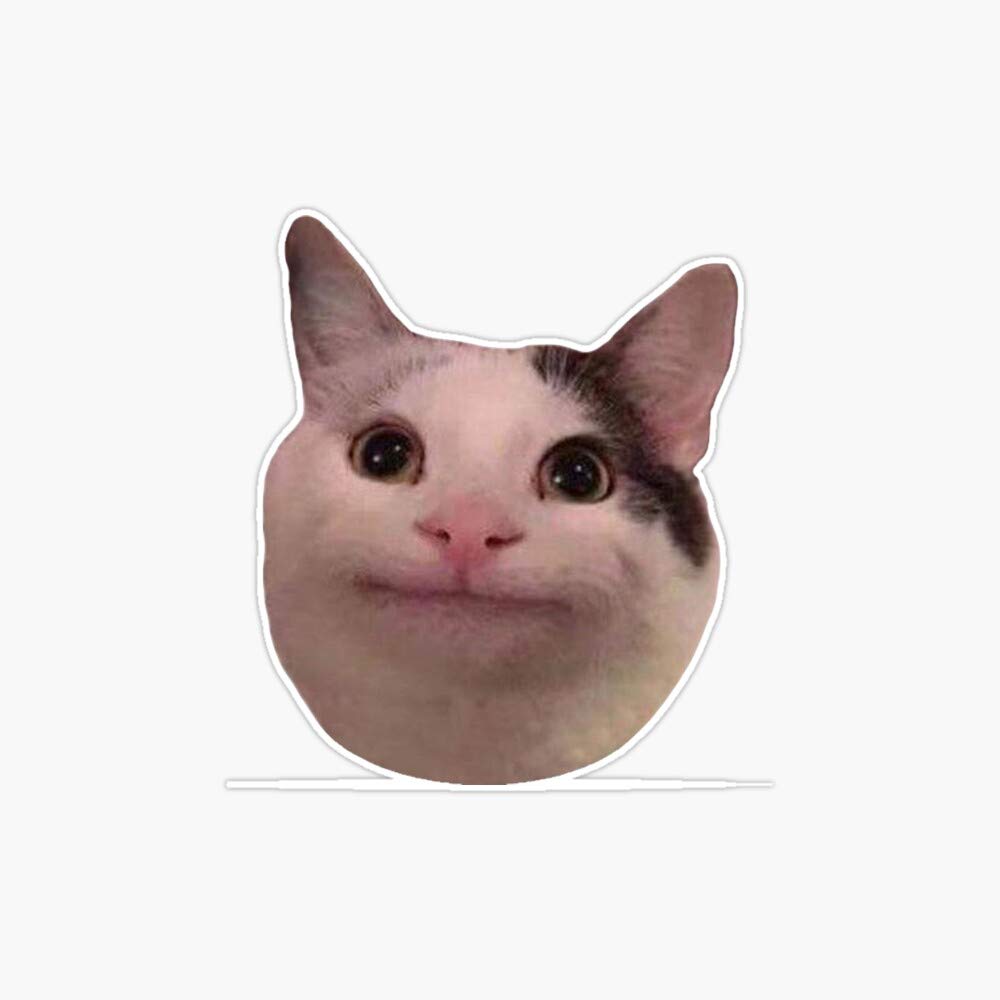 Waterproof Vinyl Cat Sticker - 5