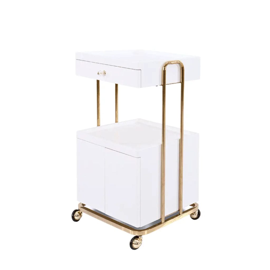 Professional Beauty Salon Rolling Trolley with Double Storage Drawers - Perfect for Hair Styling, Nail Art & Makeup Organization in Salons or Home Use