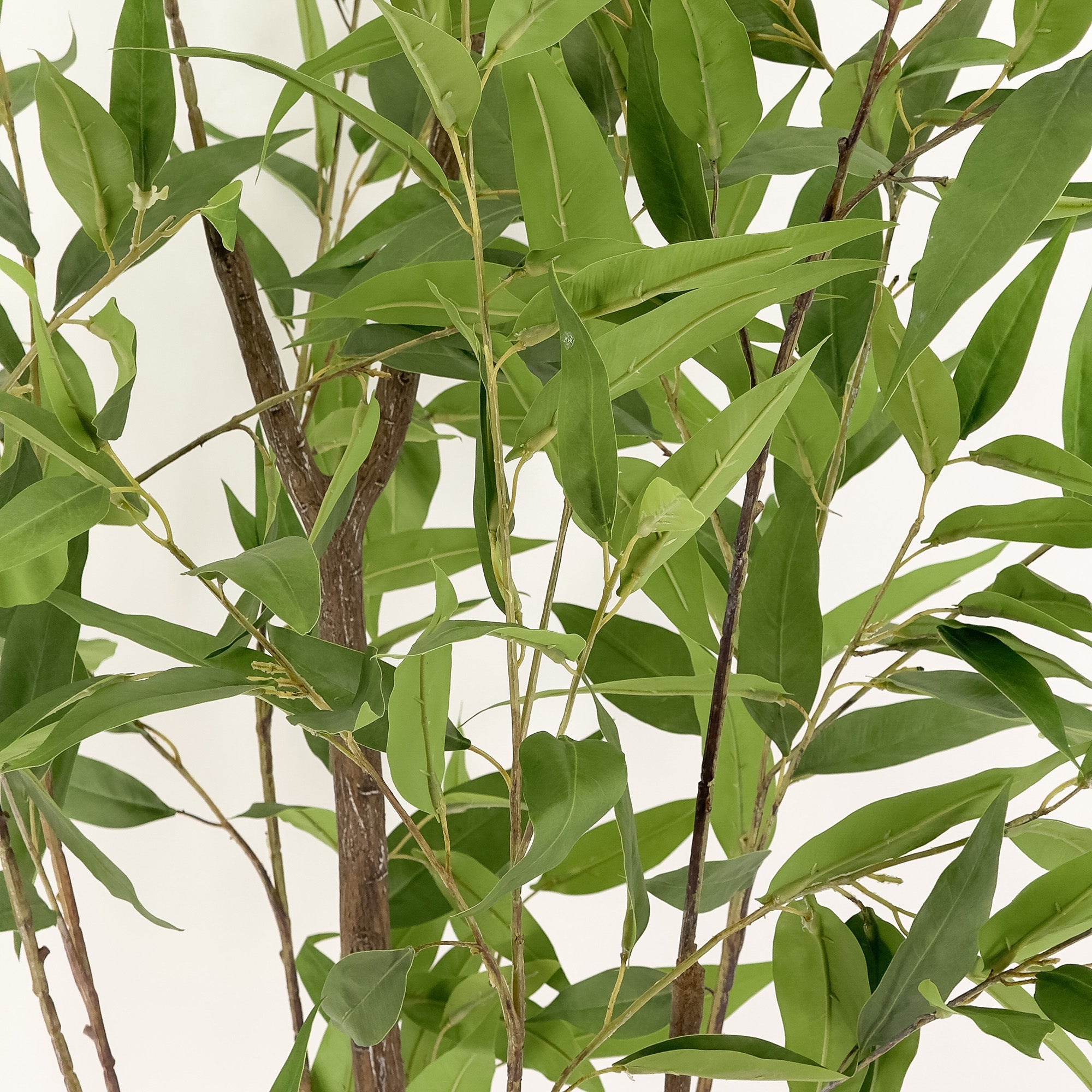 Premium Artificial Lemon Eucalyptus Gum Tree - 180cm Tall Lifelike Faux Plant for Home Decor, Office, or Outdoor Landscaping