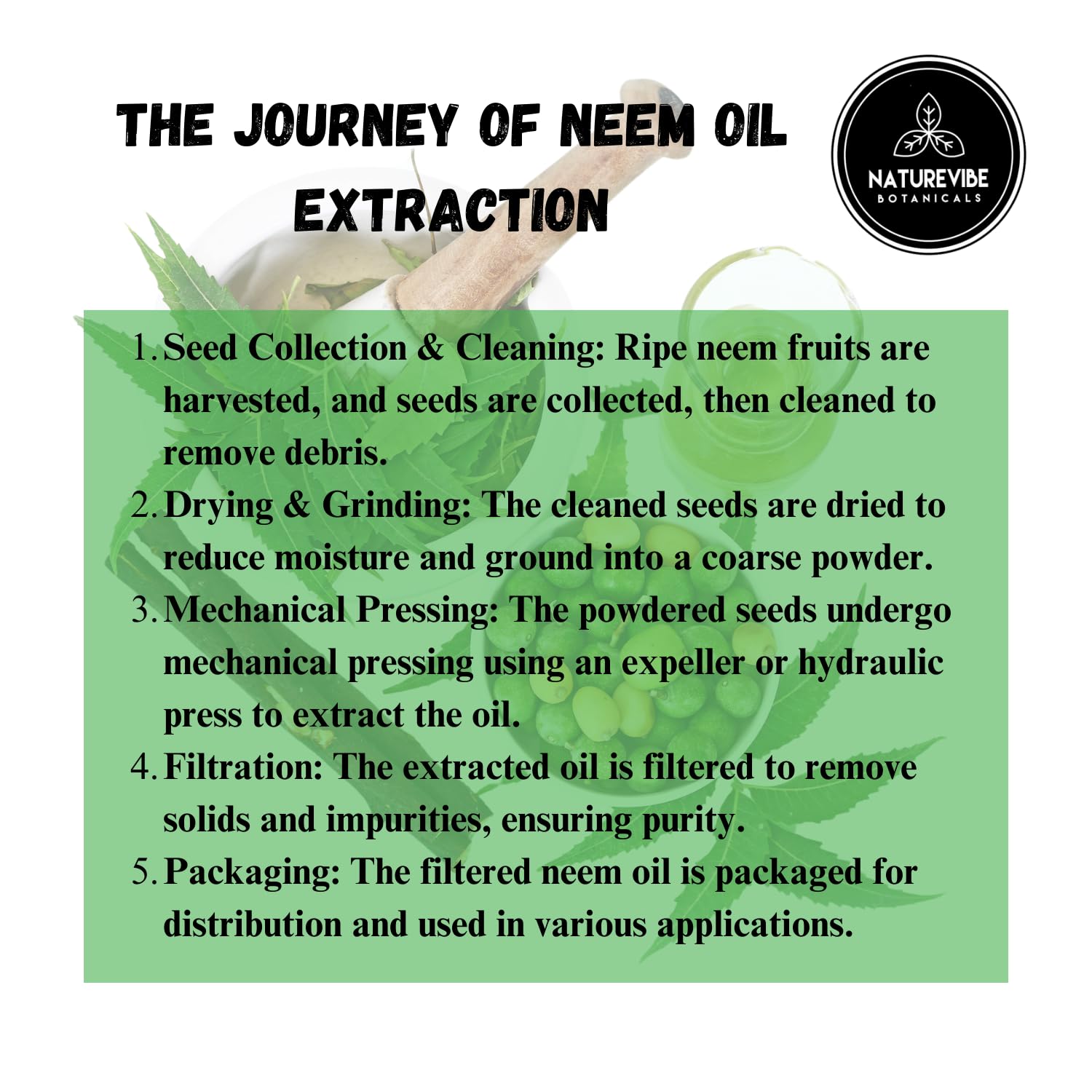Organic Neem Oil & Fractionated Coconut Oil 32oz Duo - Cold Pressed, Unrefined for Hair, Skin & Nail Care | Natural Moisturizer for Dry Scalp, Massage & DIY Beauty Recipes