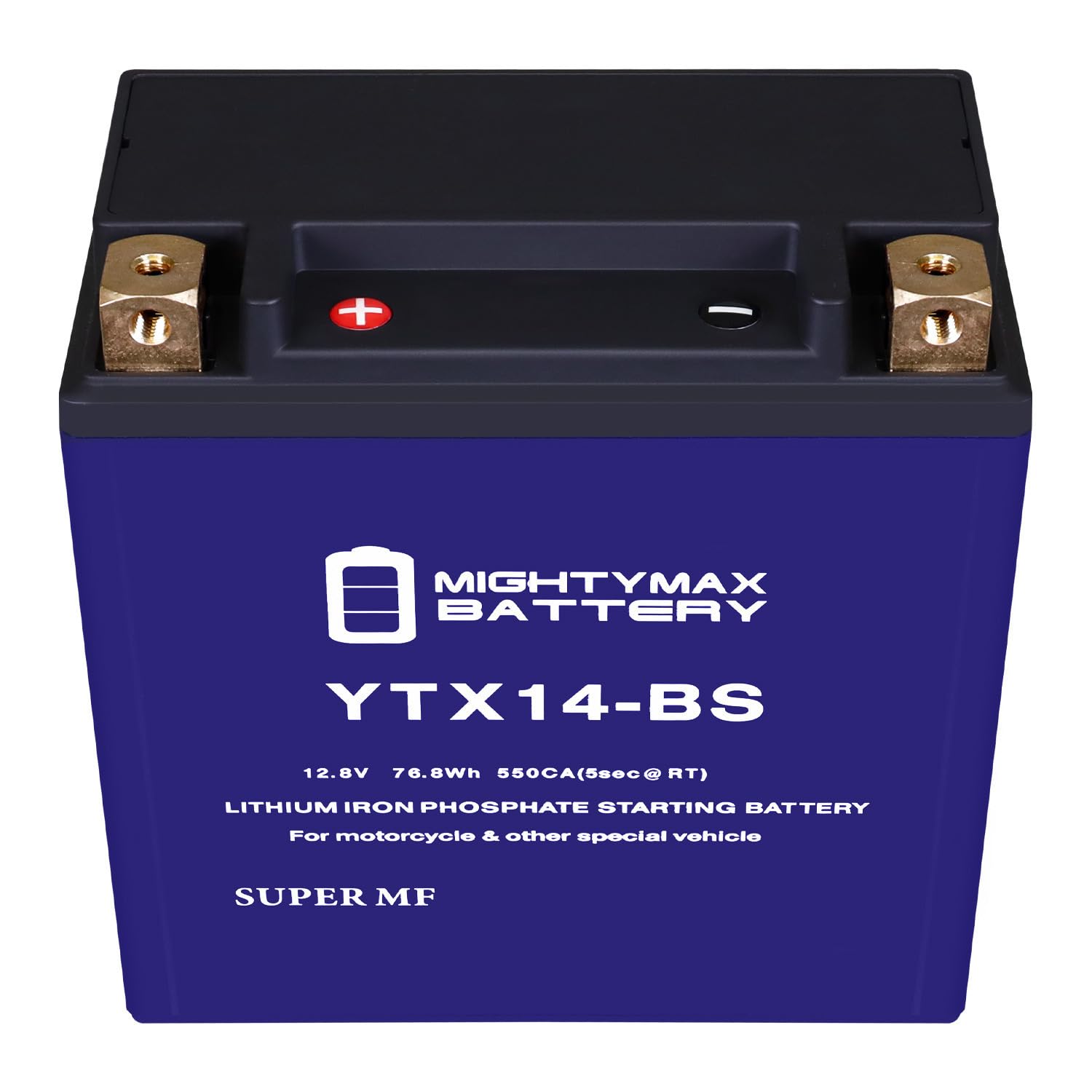 Mighty Max YTX14-BS Lithium Battery for Yamaha YFM250 Bear Tracker 01-04 - ATV Power Solution