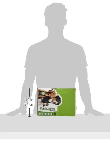 PARAGON 154101 Whimzees Natural Dental Chews for Dogs - 150-Count Small Toothbrush Star Dog Treats for Teeth Cleaning & Fresh Breath | Perfect for Small Breed Puppies & Adult Dogs