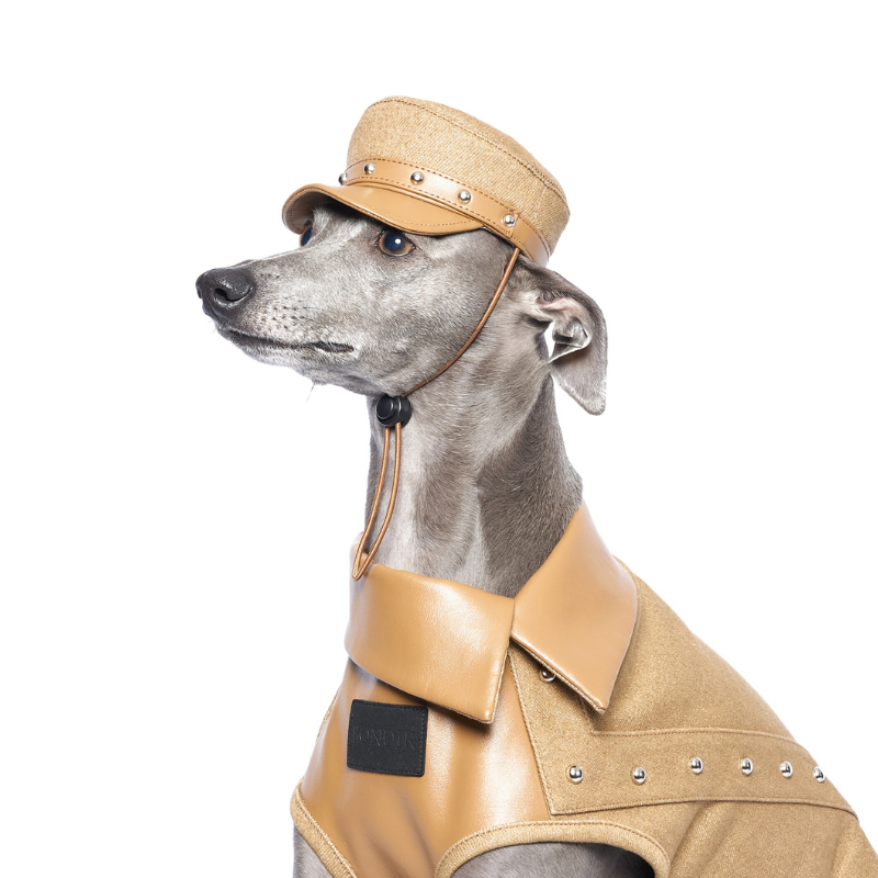 Rivark Denim Dog Hat - Stylish & Comfortable Pet Accessory for Small & Medium Dogs - Perfect for Outdoor Adventures, Photo Shoots & Daily Walks